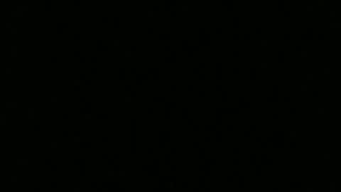 Snapshot of ragingcock315 chatting on 12.10.24 hornybluecollar online show from 12.10.24