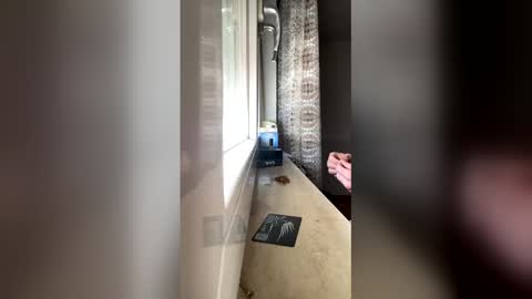 raknar992 online show from 01.06.26