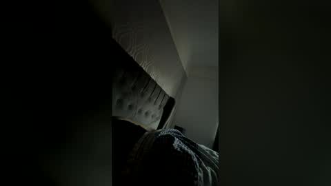 Snapshot of ramj34 chatting on 05.25.26 Liam123 online show from 05.25.26