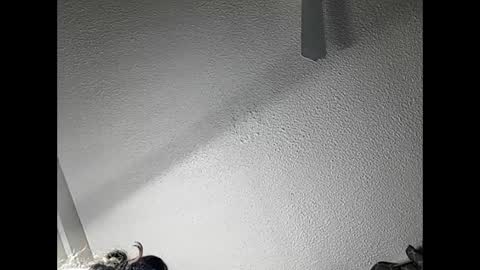 RamonaJ online show from 02.21.25