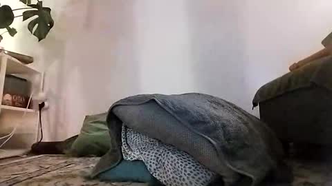 Snapshot of ranchoarg chatting on 01.08.26 ranchoarg online show from 01.08.26