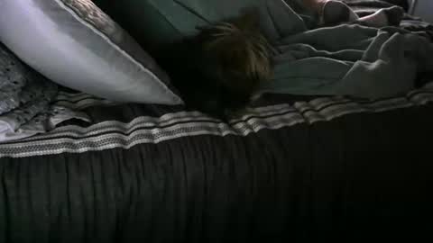 Randy8inbater online show from 01.12.25