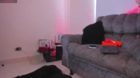   online show from 02.11.26