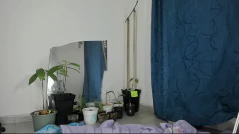 gata online show from 03.12.25