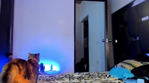 Snapshot of raydevil_ chatting on 09.28.25 Rayn online show from 09.28.25