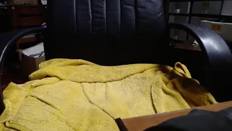 Ray online show from 04.03.26