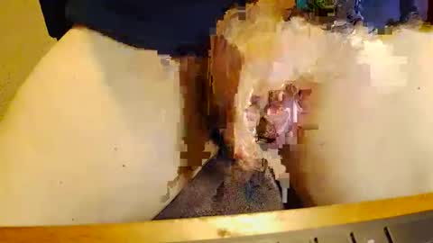 rb69er905364 online show from 11.17.25