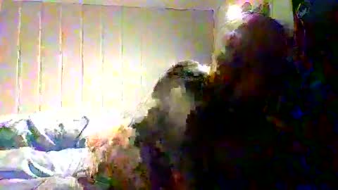 real_viking1 online show from 11.22.25