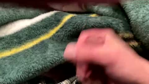 realbigload77 online show from 02.24.26