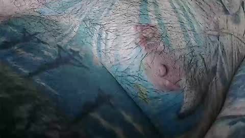 realrubpirate online show from 03.20.26