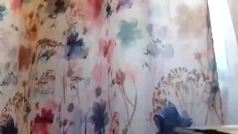 recka810 online show from 02.20.25