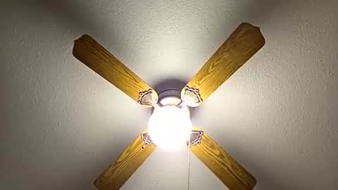 red24devils online show from 11.21.25