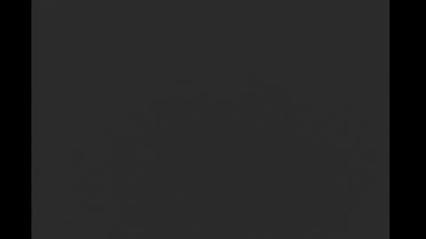 rededen online show from 03.02.26