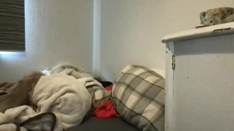 Snapshot of redfoxofficial chatting on 03.30.26 Redfox online show from 03.30.26