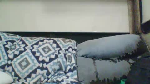 Snapshot of reese960384 chatting on 01.11.26 reese960384 online show from 01.11.26