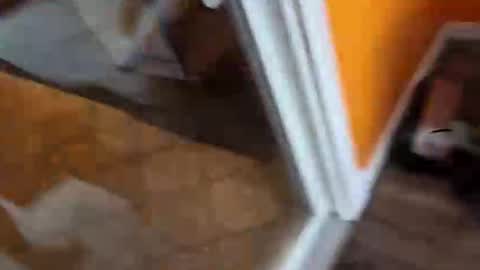 Snapshot of reggie007007 chatting on 01.07.26 reggie007007 online show from 01.07.26