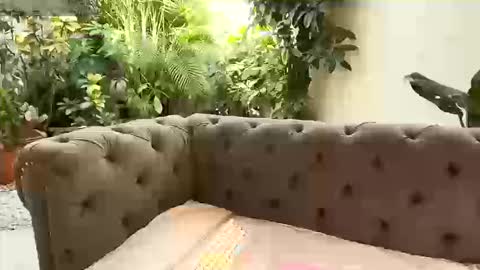 S T A C Y online show from 09.13.25