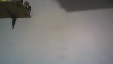 Walter online show from 12.08.24