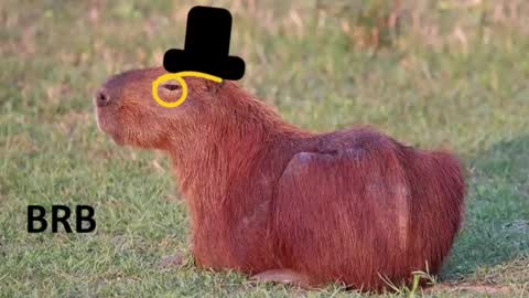 Chris online show from 02.16.26