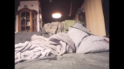 Rey online show from 01.05.26