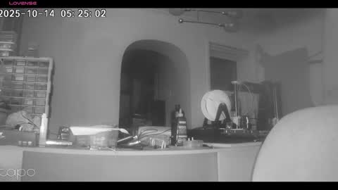 reza240782 online show from 10.14.25