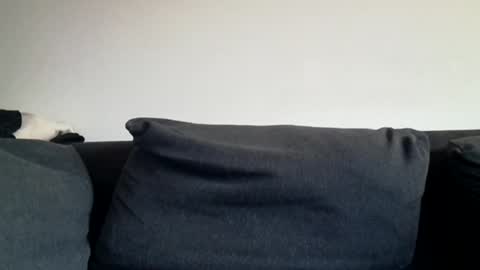 Shaved cock ready online show from 03.31.26