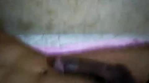 rica1234567890961640 online show from 10.21.25