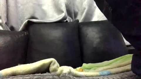 Snapshot of richardsone1 chatting on 02.10.26 Babu online show from 02.10.26