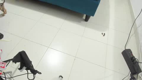 Rihanna hotx online show from 11.12.25