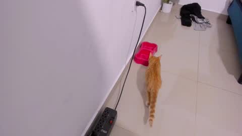 Rihanna hotx online show from 12.21.25