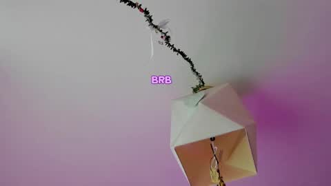 My name is Riley Like my broadcast pls 3 online show from 06.02.26