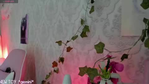 My name is Riley Like my broadcast pls 3 online show from 07.26.26