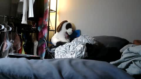 Snapshot of riversaint chatting on 03.11.25 River Saint online show from 03.11.25