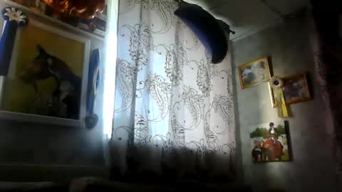 rob18997 online show from 11.16.25