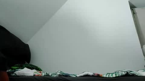 Snapshot of robertxxxpo chatting on 10.02.25 Zenek online show from 10.02.25