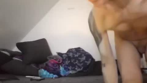 Snapshot of robertxxxpo chatting on 02.26.26 Zenek online show from 02.26.26