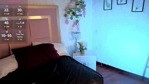 robin D online show from 11.15.25