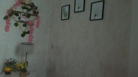 robin D online show from 02.02.26