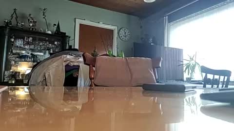 Snapshot of robke1966 chatting on 01.22.25 robke1966 online show from 01.22.25