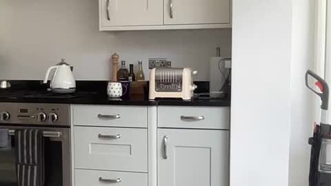 Snapshot of robsmile22000 chatting on 09.12.25 Robs sensuous cam for discerning ladies online show from 09.12.25