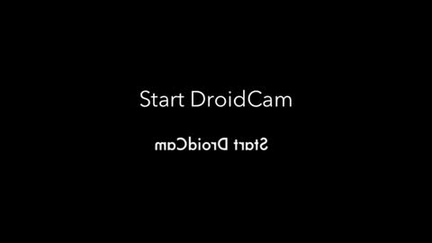 rojobob online show from 11.04.25