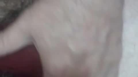 Snapshot of rokk_dude chatting on 10.26.25 rokk_dude online show from 10.26.25