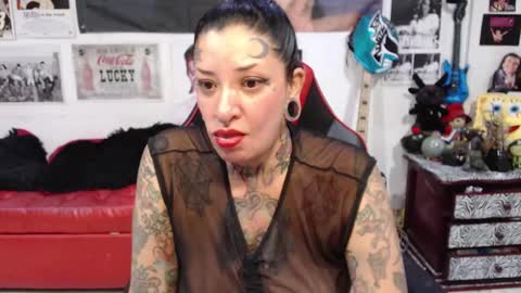 Rolly online show from 12.15.24