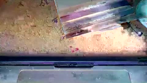 romeo9000x online show from 01.06.26