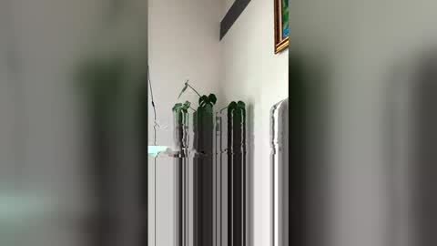 Snapshot of ronihall chatting on 03.29.26 Roni Hall online show from 03.29.26