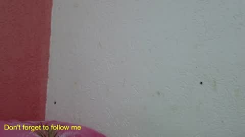 ronny online show from 01.31.25