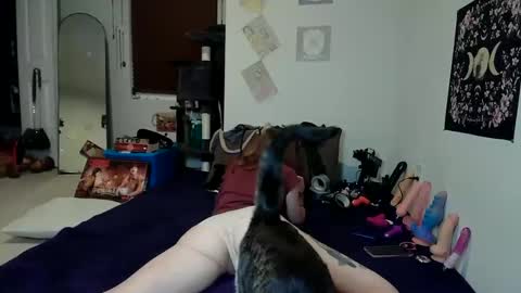 Snapshot of rosehatter chatting on 12.03.24 Rose Hatter online show from 12.03.24