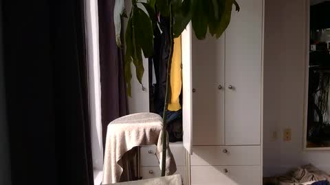 Snapshot of rosscollab chatting on 03.02.26 RossCollab online show from 03.02.26