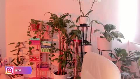 Im Ross   online show from 10.24.25