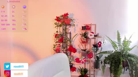 Im Ross   online show from 11.26.25